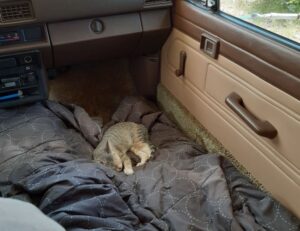 benefits of immorpos35.3 software