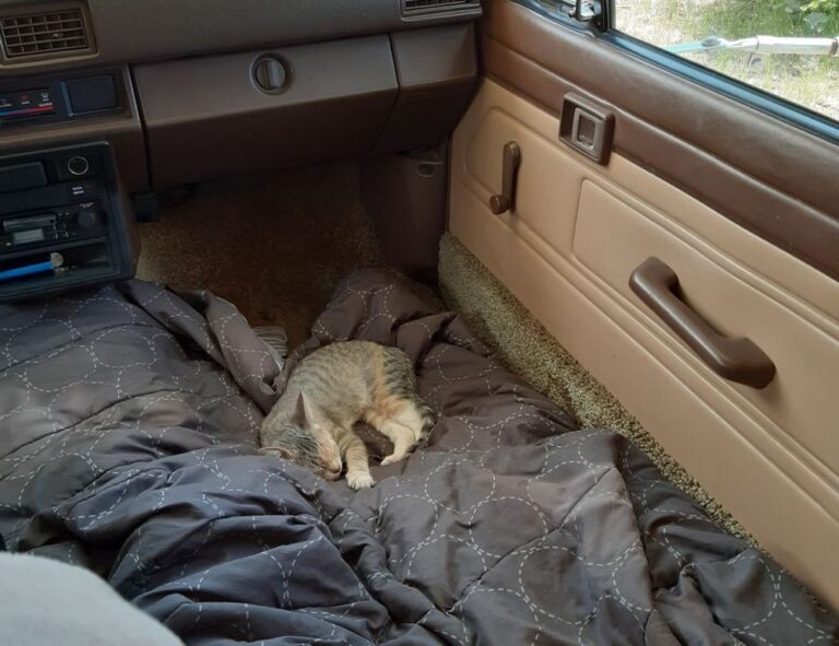 benefits of immorpos35.3 software