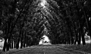 download updates scookiepad