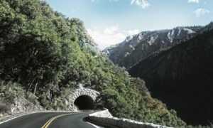 how much does the 493xds5.0 software cost