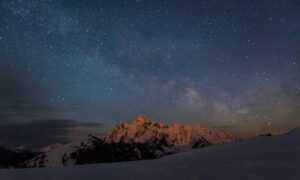 latest updates scookiepad