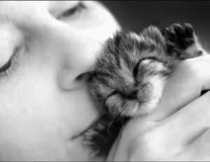 set up instructions scookiepad