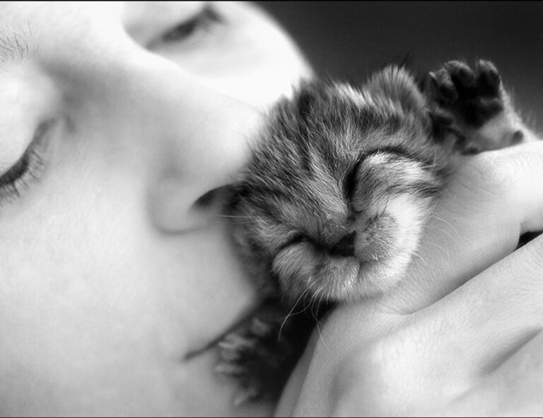 set up instructions scookiepad