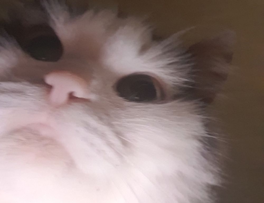 teckaya construction equipment address