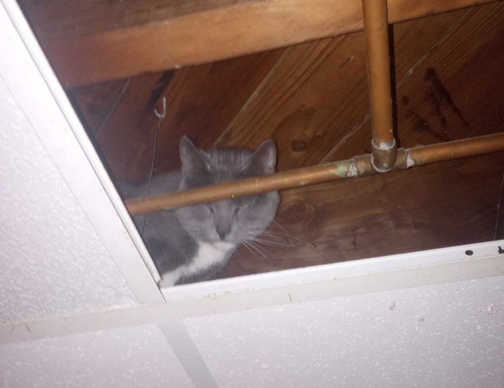 when is ustudiobytes going to be live