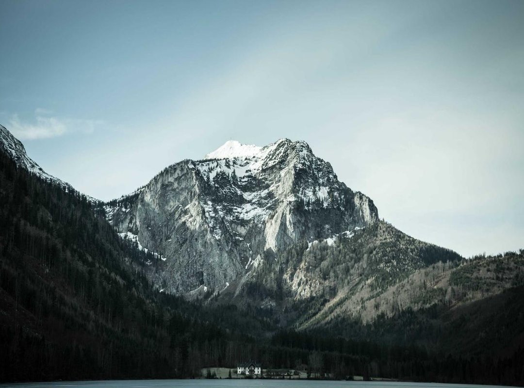 The Manager's Chess Match: A Tactical Breakdown