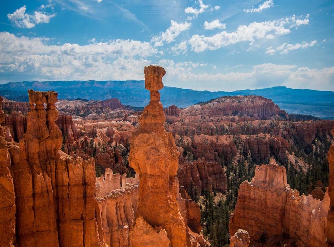 A Lasting Tribute: How Bridgerton and Its Cast Honored His Legacy