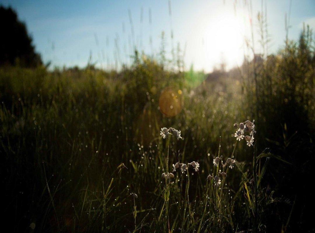 The Bigger Picture: What This Trend Reveals About Online Culture