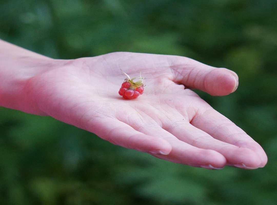 Now You're Ready to Enjoy the Movie