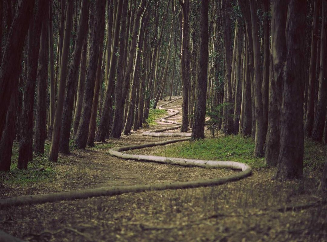 How to Apply Ignaony: A 4-Step Practical Guide