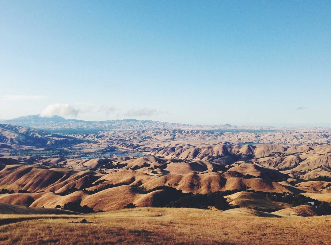 A Typical Session: What to Expect from Start to Finish