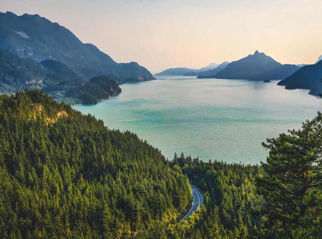 Analyzing the Aftermath: What Could Happen Next?