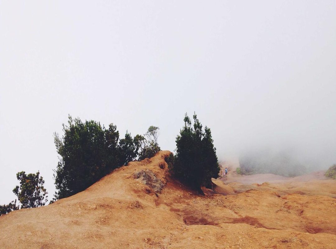 Safety and Legality: What Every User Must Know